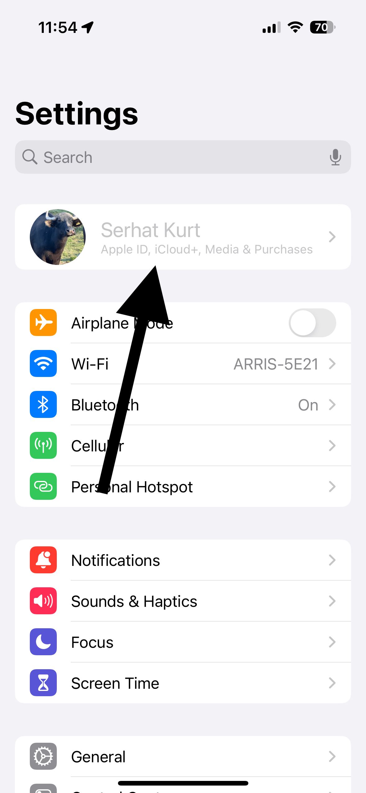 iPhone 设置页面顶部显示 Apple ID 头像和账户信息