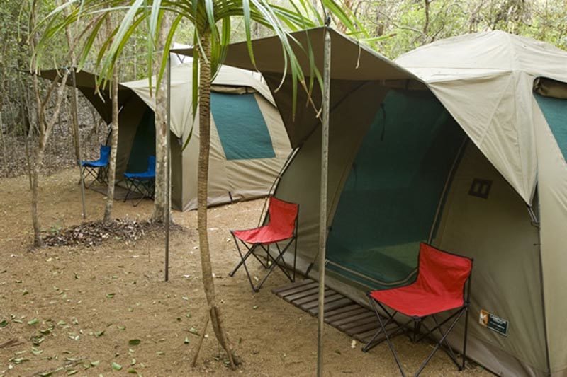 Groupe scolaire en forêt lors d'un séjour éducatif Green Camping Tampolo