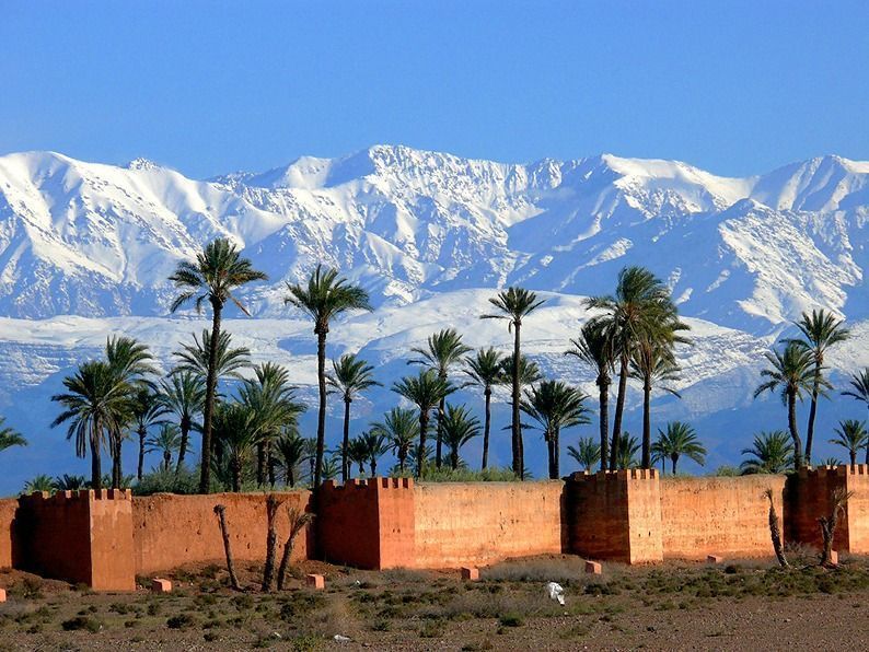 جبال الأطلس المغربية مغطاة بالثلوج مع نخيل في المقدمة - مناظر شتوية خلابة