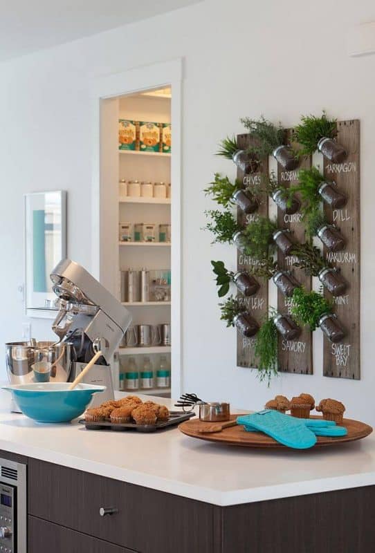 Kitchen herb garden with labeled mason jars mounted on wooden wall