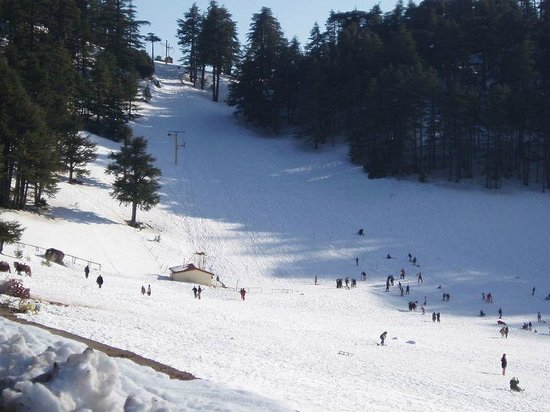 Pistes de ski de Michlifen avec skieurs et forêt de cèdres