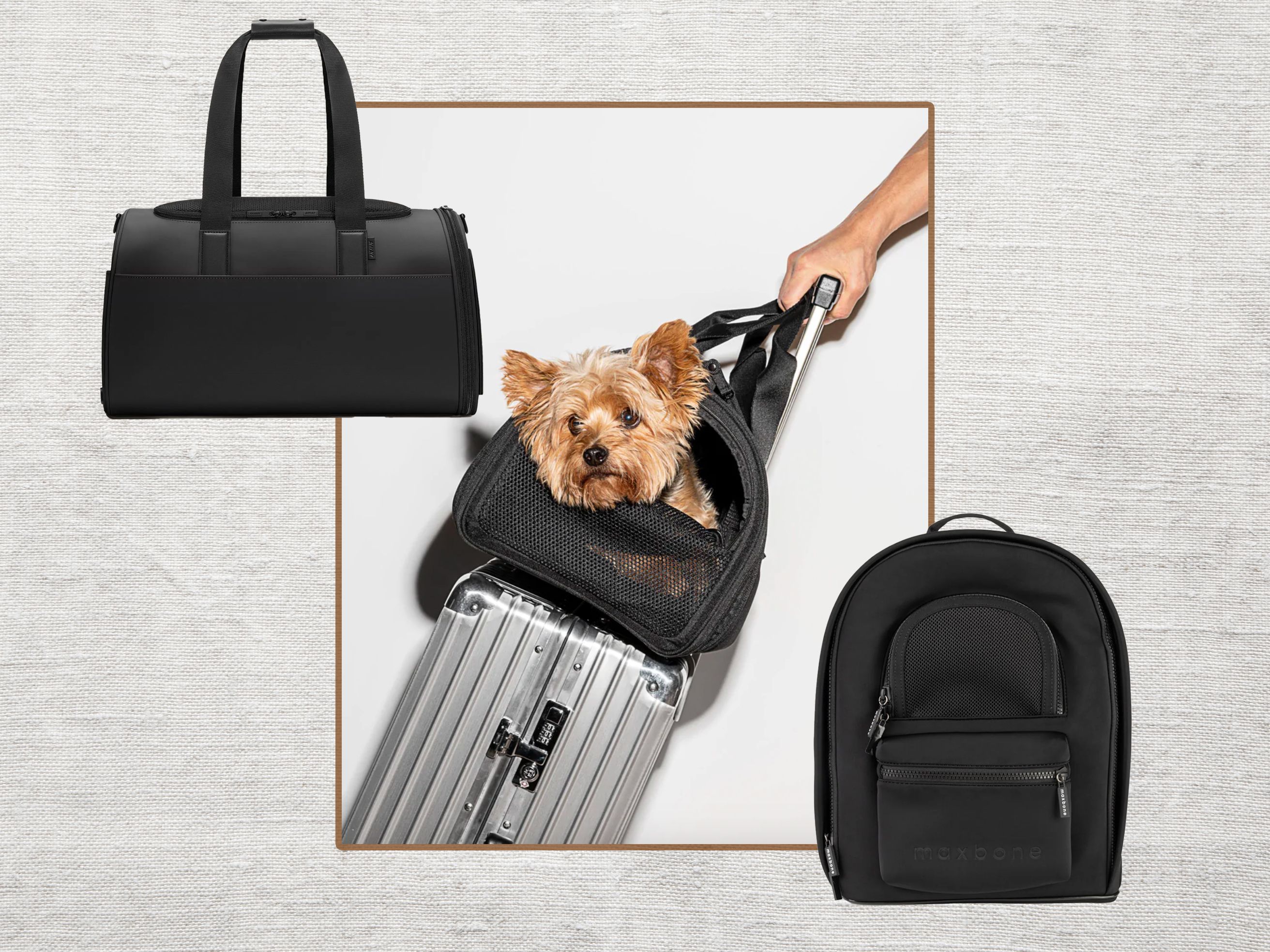 Soft-Sided Pet Travel Carrier for Cats and Dogs