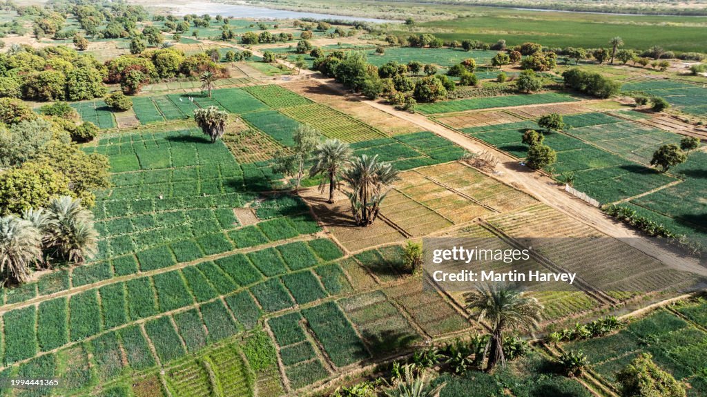 Agriculture Keur Leye - Vue aerienne des champs