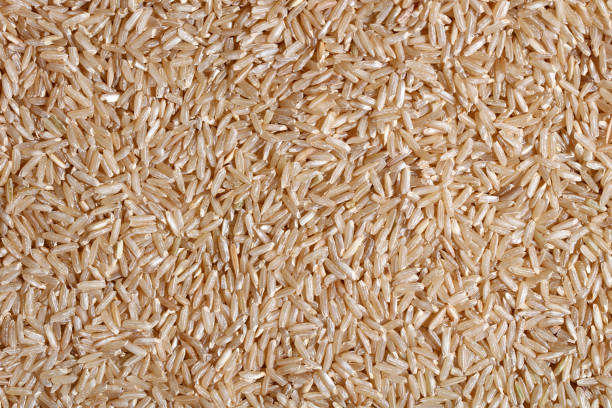 Rice grain texture