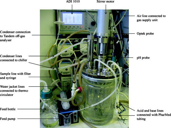 Bioreactor system for recombinant protein production showing stirrer motor, sensors, and control systems