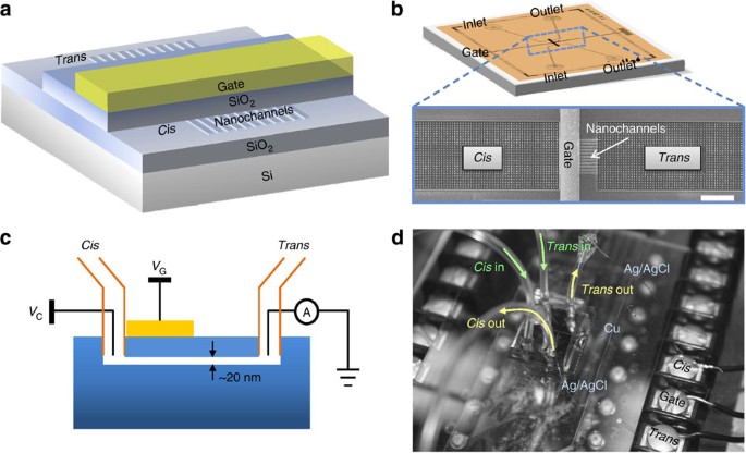 Nanofluidic integrated circuit with microchannels