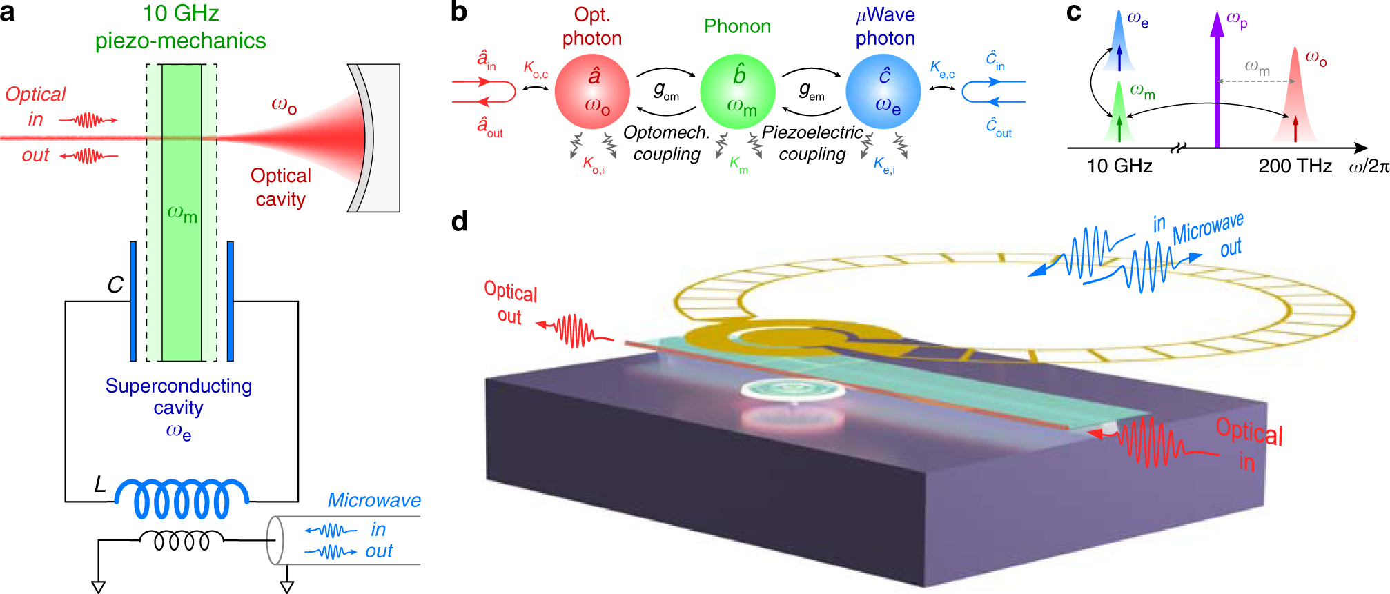 Superconducting RF cavity with piezoelectric actuator assembly