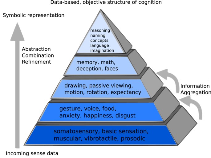 Hierarchical structure of Jungian cognitive functions