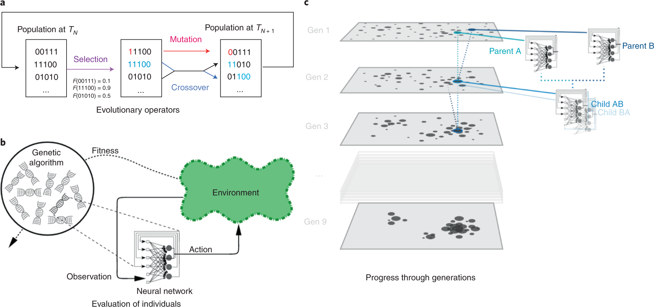 Abstract representation of evolutionary algorithm concept