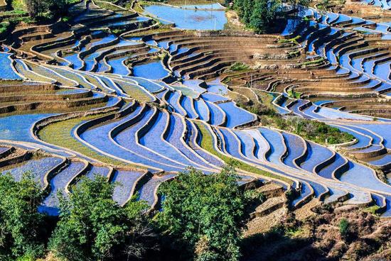 Yuanyang Hani Rice Terraces