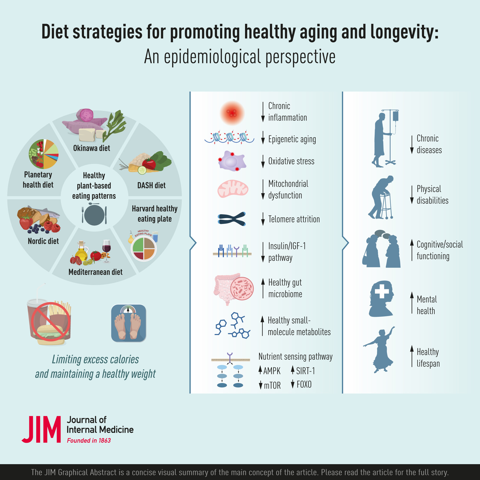 Diet strategies for promoting healthy aging and longevity: An epidemiological perspective - Hu - 2024 - Journal of Internal Medicine - Wiley Online Library