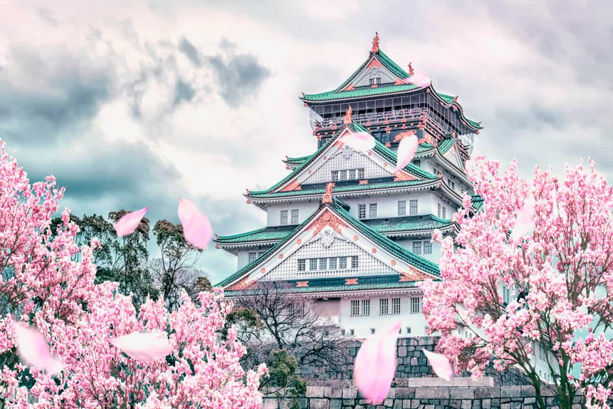 Osaka Castle with Cherry Blossoms
