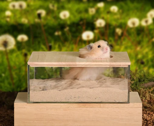 Reptile Rock Basking Platform with Hide Cave
