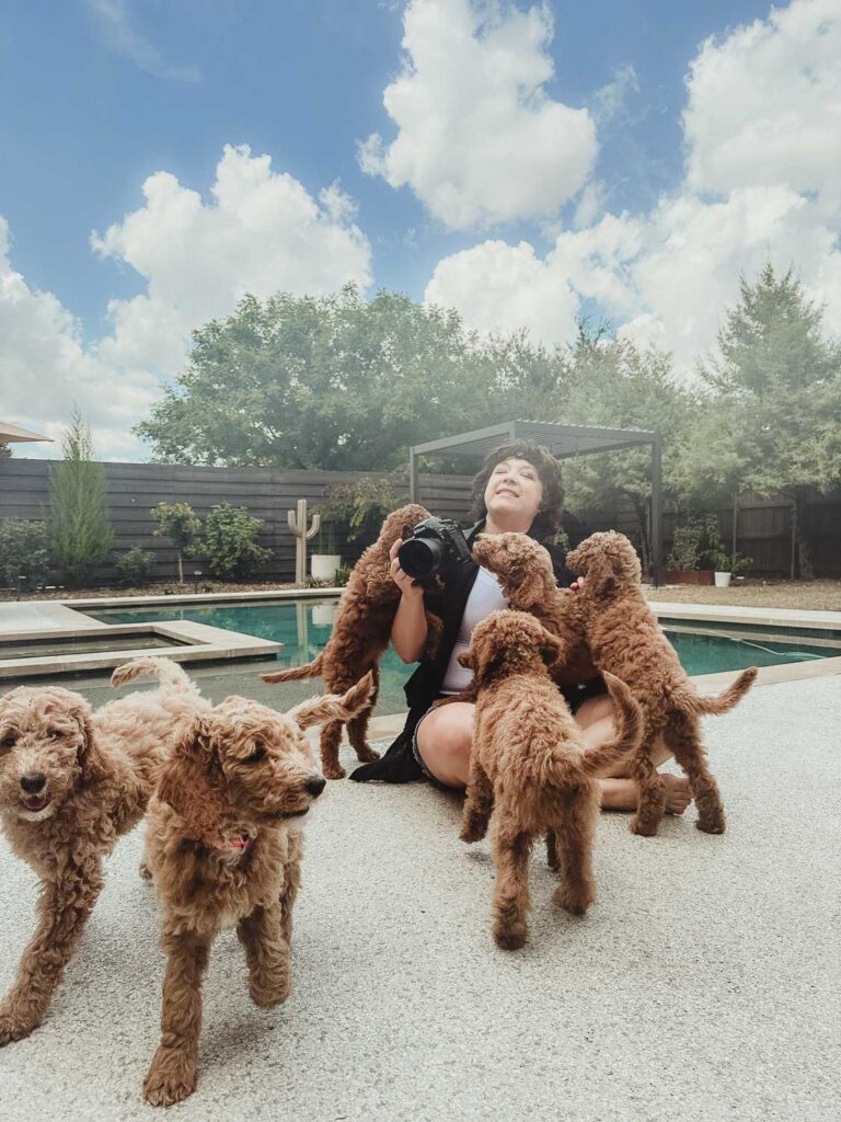 Cachorros de Caniche Gigante jugando con su dueña en jardín, criador familiar responsable