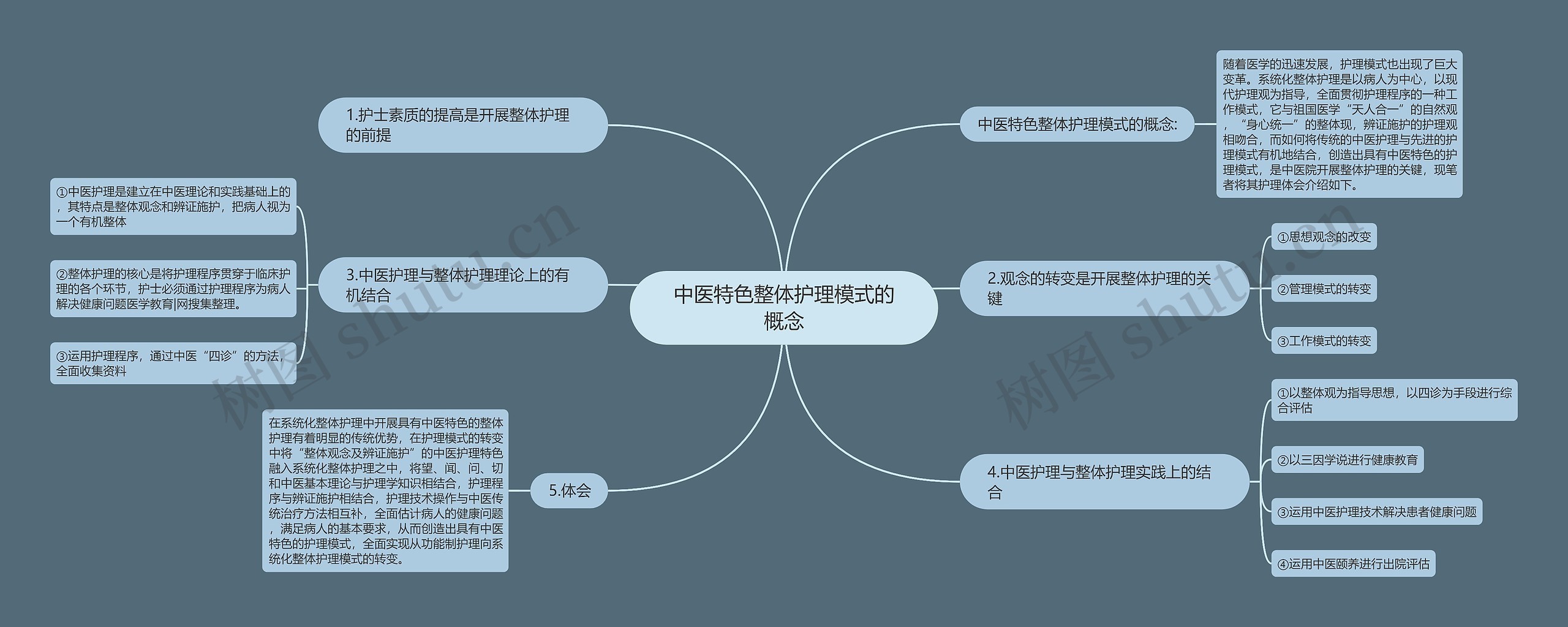 理论与实践相结合的概念图