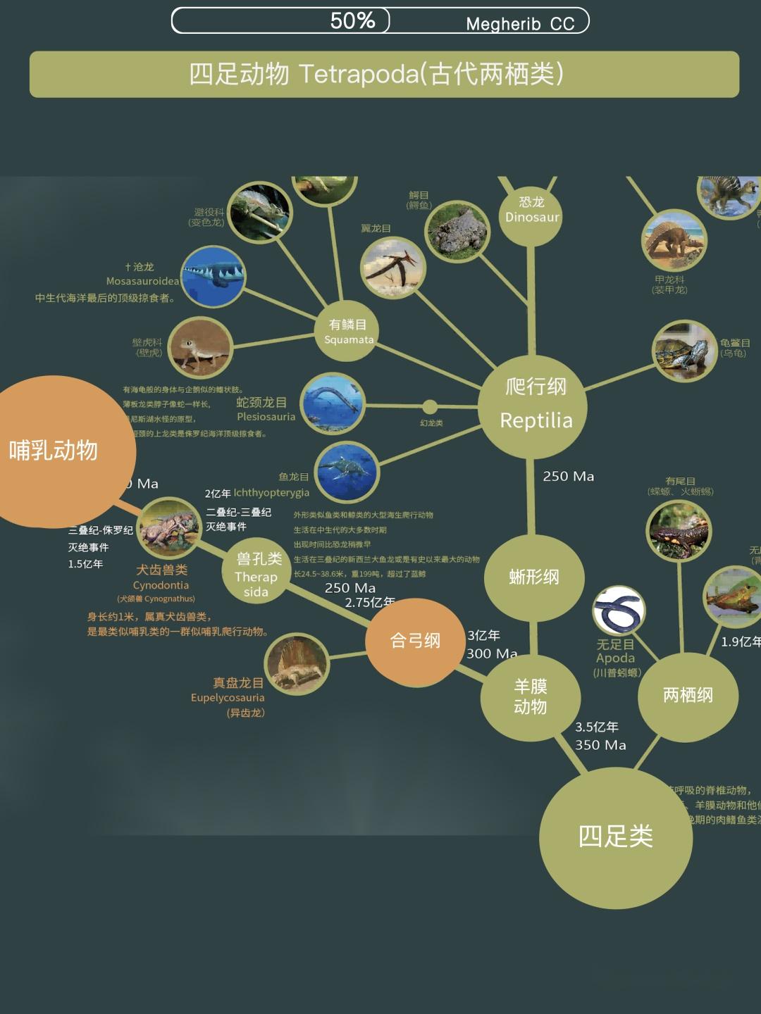 生物进化与数字进化系统对应关系示意图