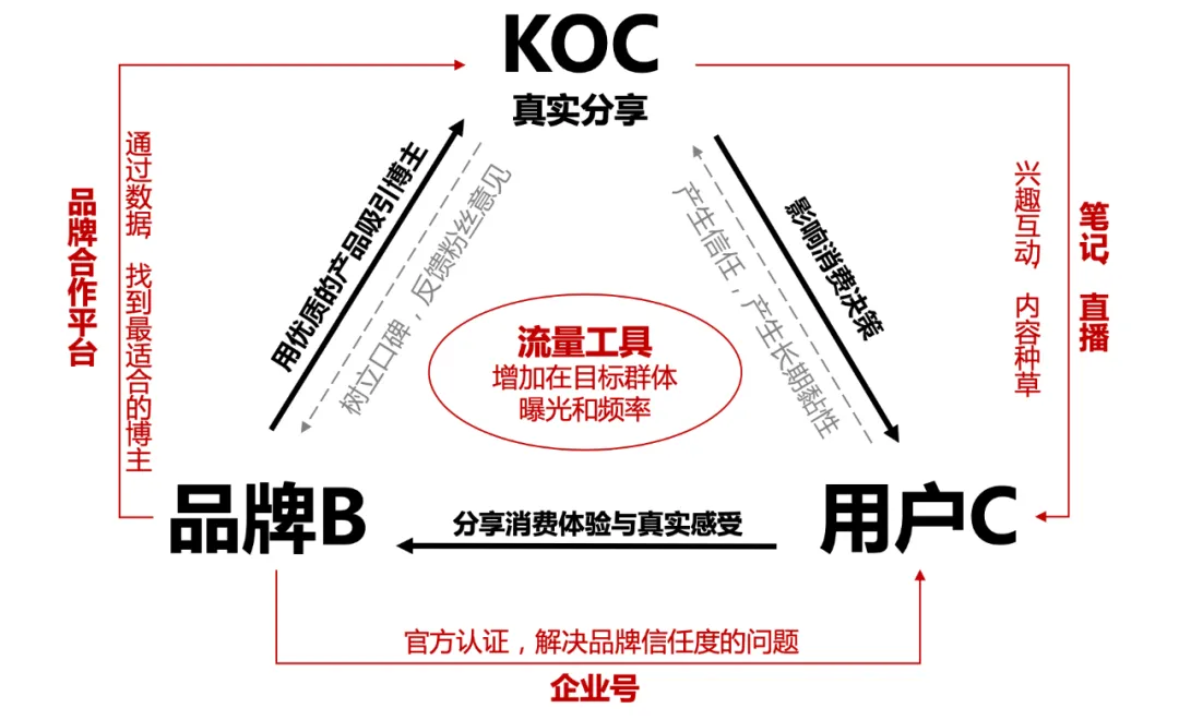 小红书平台发展历程的抽象视觉呈现