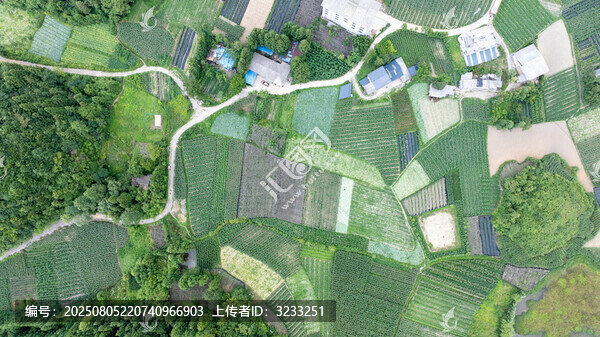 博里镇晶墩村1193.34亩土地流转