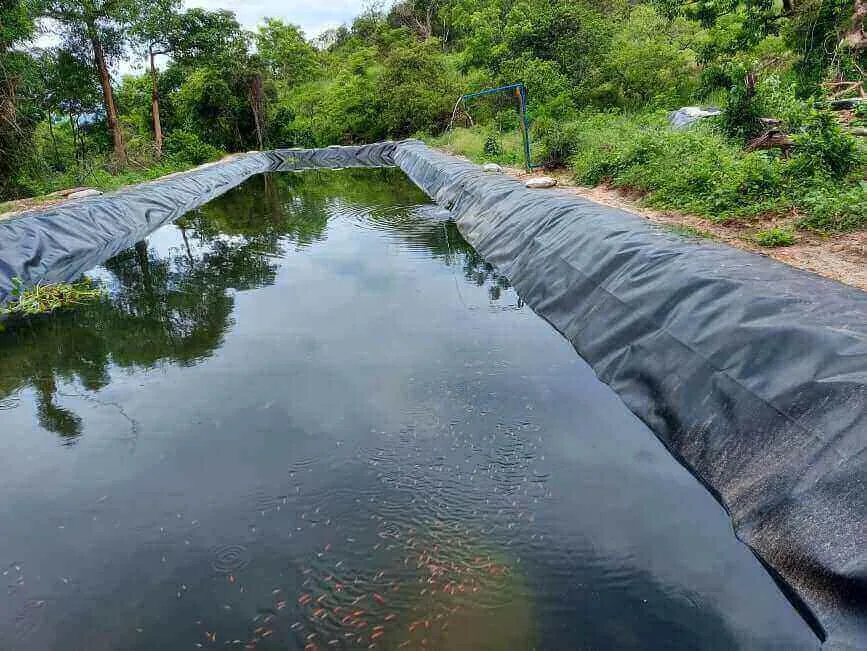 Geomembrane For Aquaculture Fish Shrimp Crab Prawn Ponds