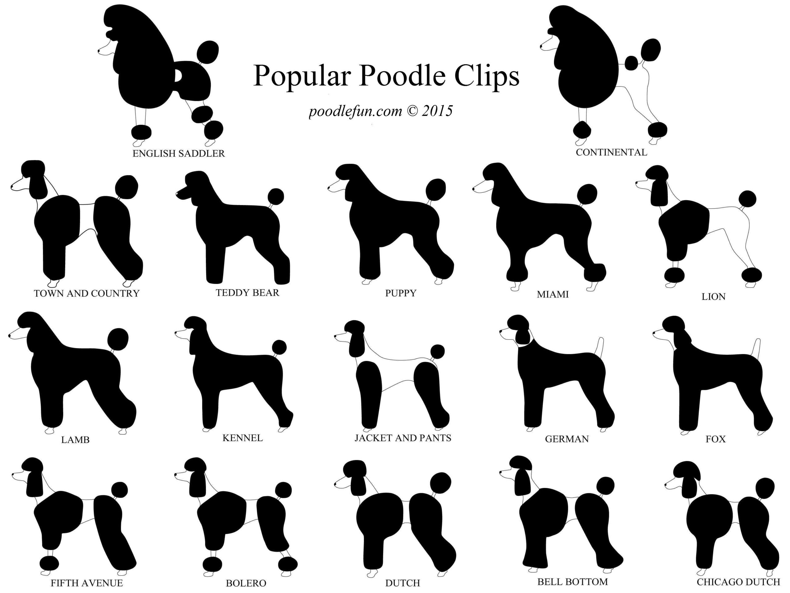 Diagrama completo de cortes populares del Caniche para exposición