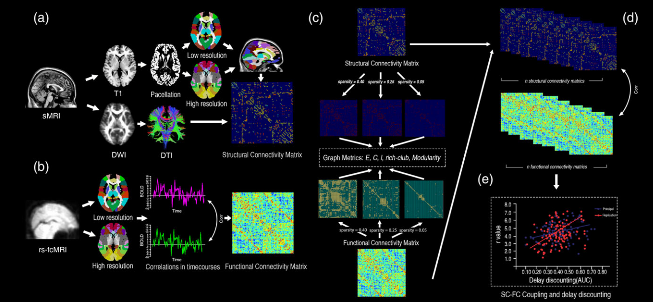 人脑神经网络模块化结构示意图