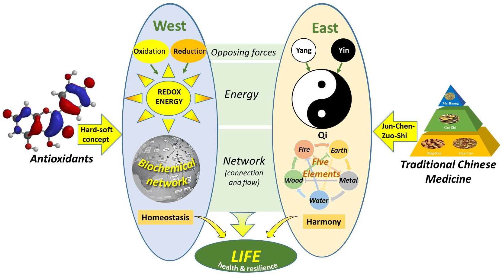 Symbolic bridge connecting Eastern and Western philosophy