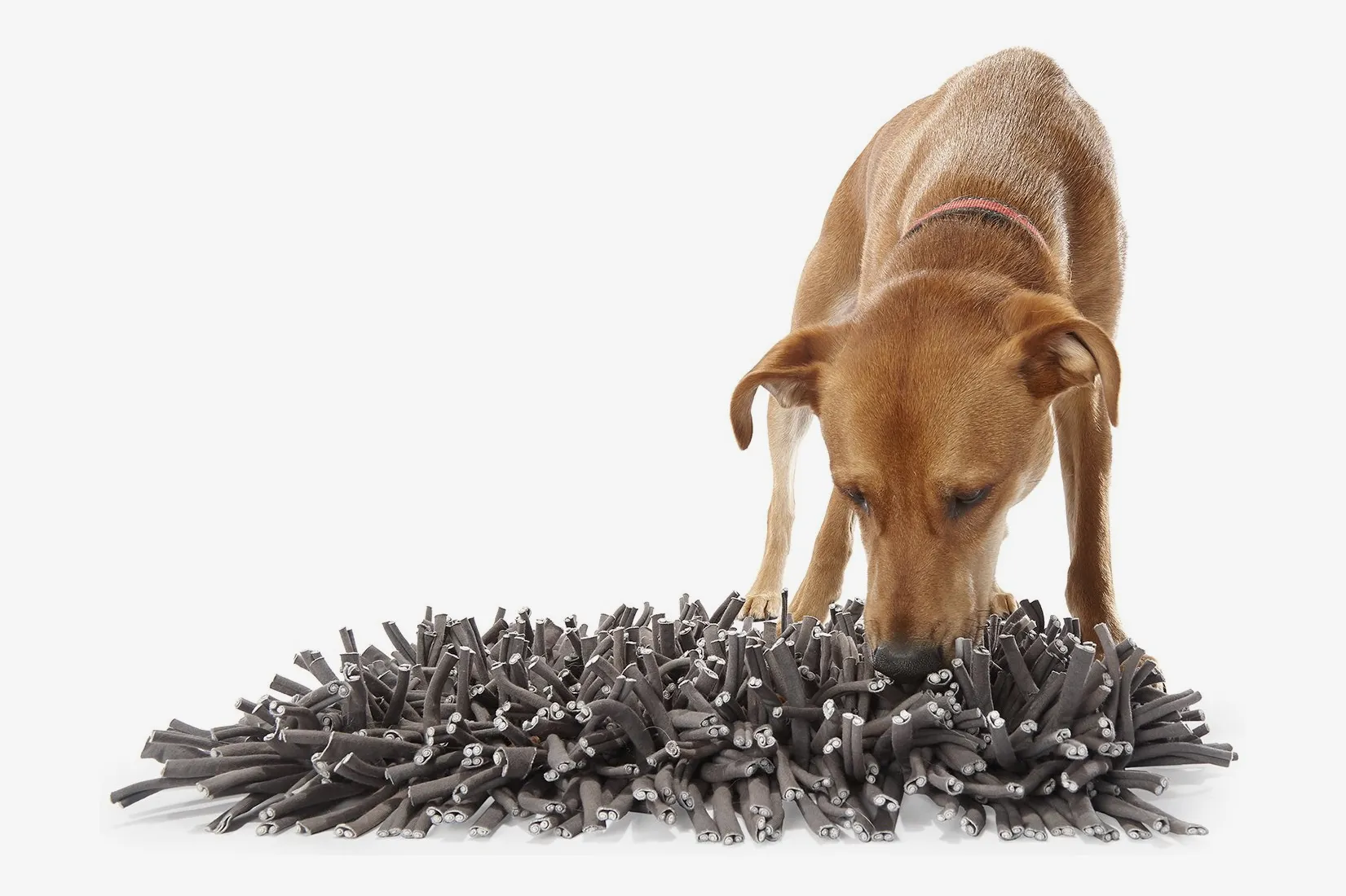 The Strategist Best Snuffle Mat Gray