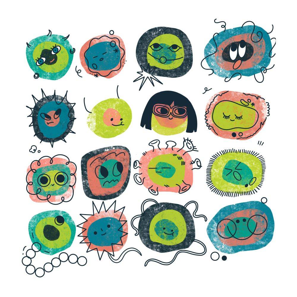 Gut microbiome illustration