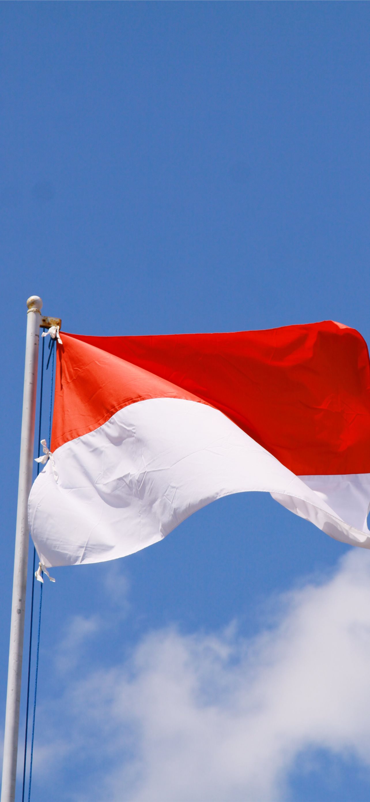 Indonesia national flag