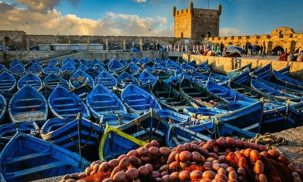 Port de pêche d'Essaouira avec ses bateaux bleus et remparts