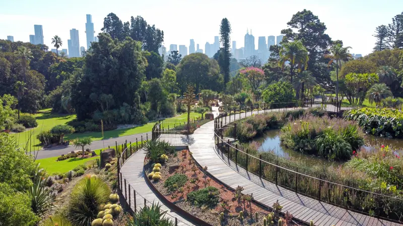 Royal Botanic Gardens Melbourne with curved boardwalk through native plants and city skyline in background