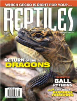 Reptile Magazine