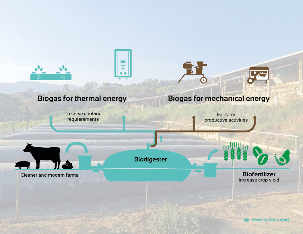 Biodigester Technologies