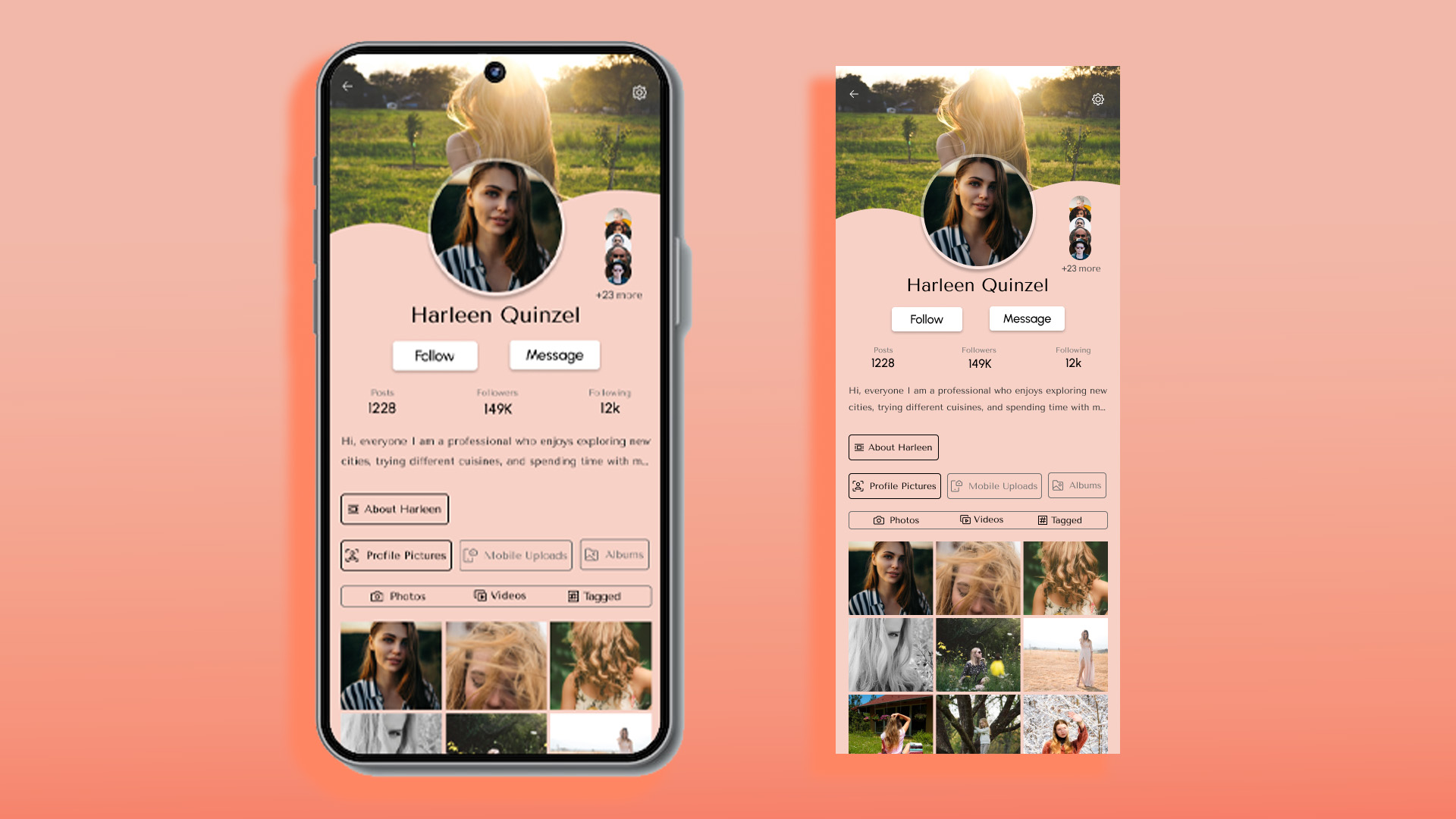 User Profile