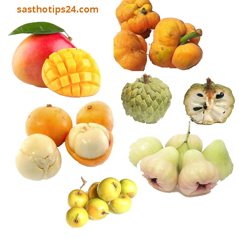 বাংলাদেশের স্থানীয় পুষ্টিকর ফলমূল সুস্থ জীবনযাপনের জন্য