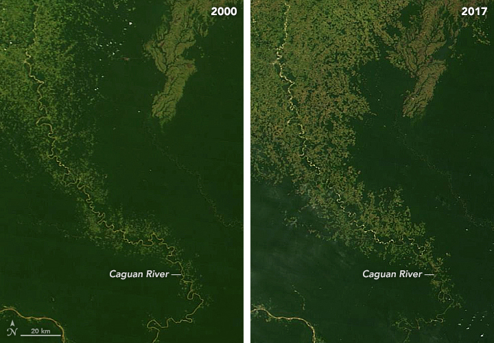 Desmatamento na Amazônia Brasil imagem satélite NASA