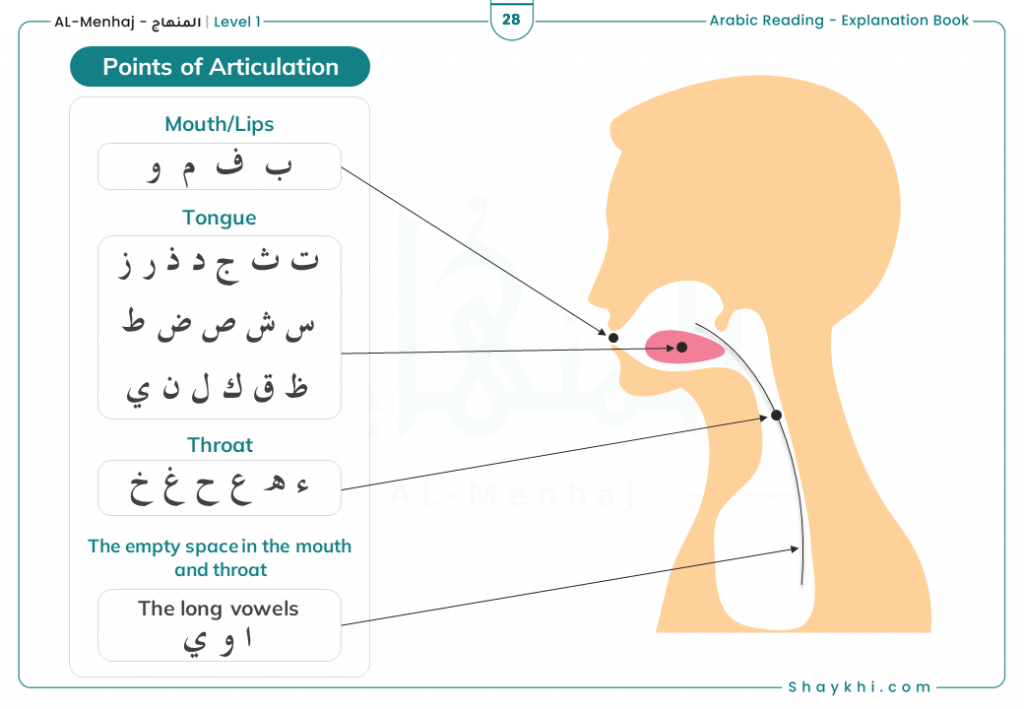 Points d'articulation Makharij - NDIAMSYL PEYE