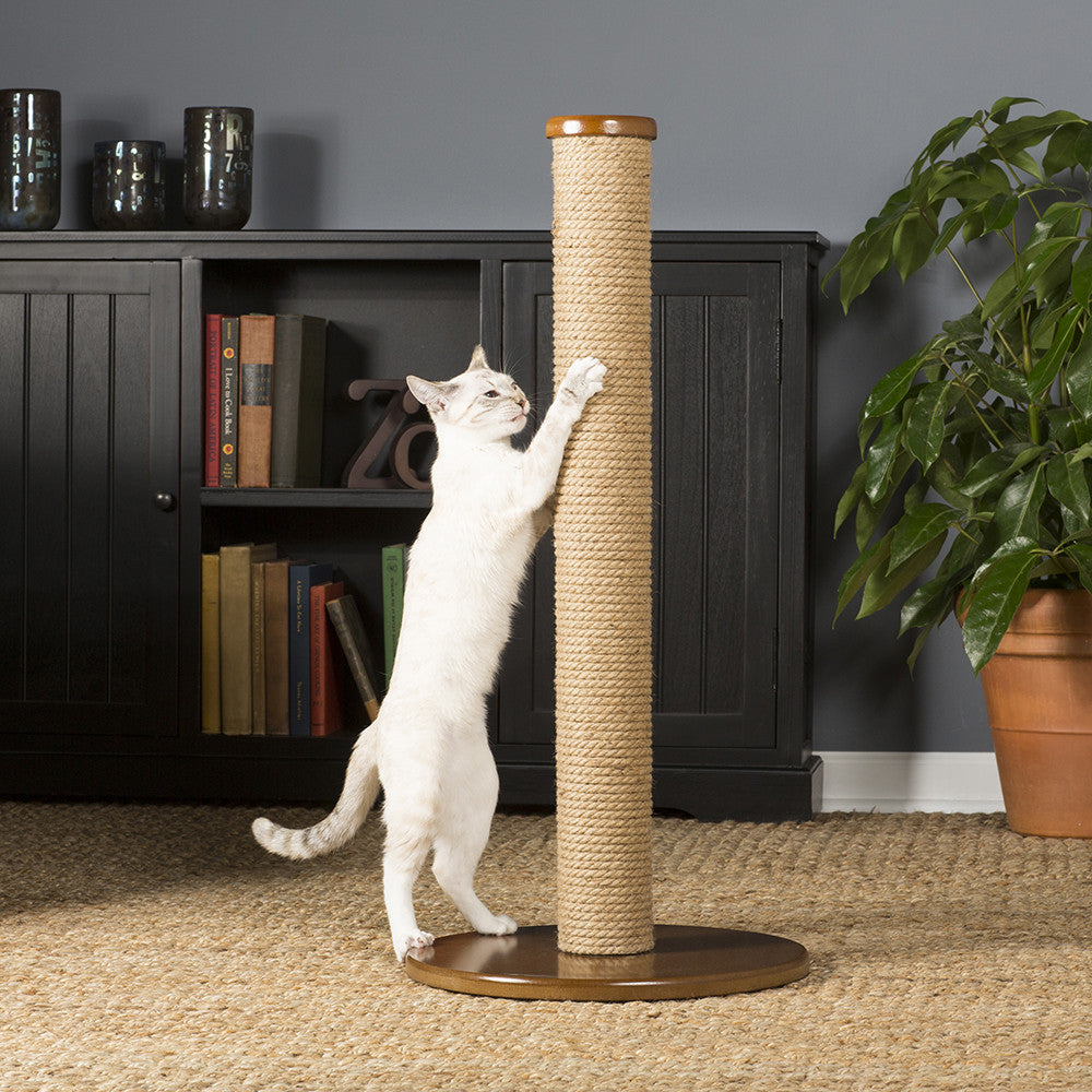 Dr. Elsey's Precious Cat Ultra Clumping Cat Litter 40lb