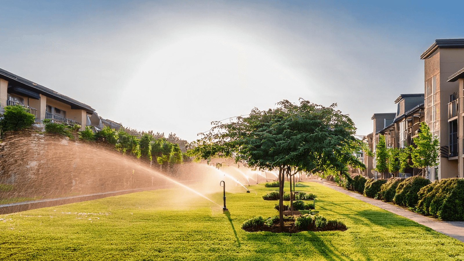 Commercial irrigation