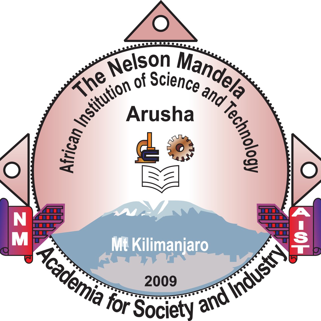 NM-AIST Logo