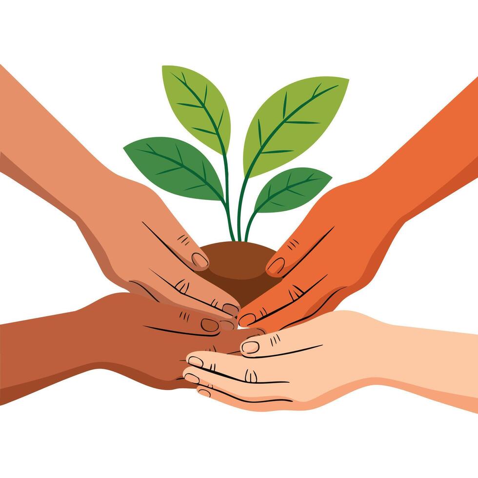 Hands nurturing a seedling - symbolizing educational growth