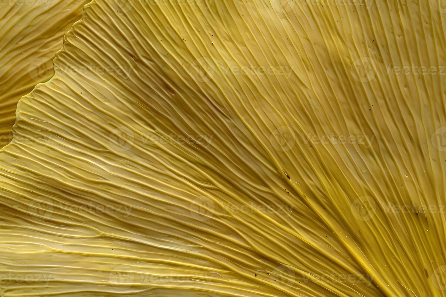 Close-up of golden ginkgo leaf texture showing veins