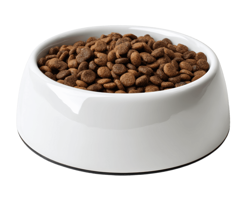 Dog food in white ceramic bowl, dry brown kibble snack for pet nutrition,  isolated on transparency background, healthy meal for domestic animal care  69733353 PNG