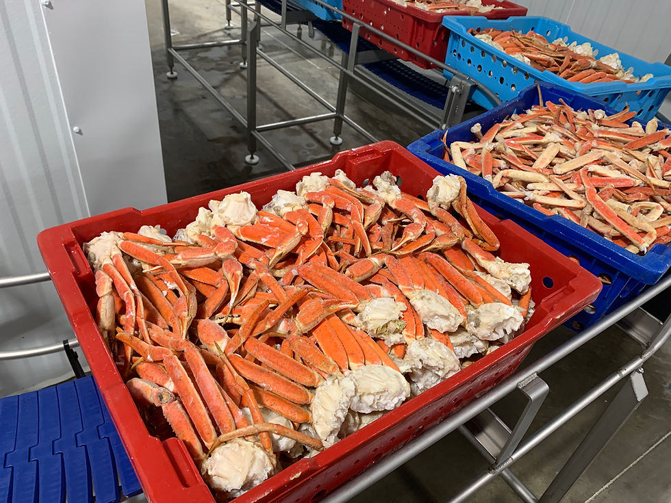 Processing Equipment