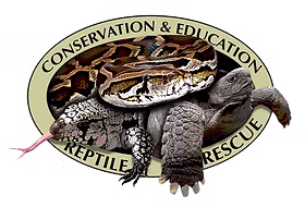 CITES Regulations