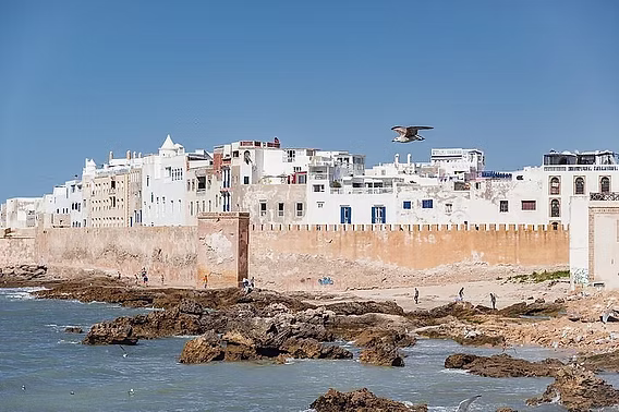 La médina blanche d'Essaouira vue depuis la mer avec ses remparts