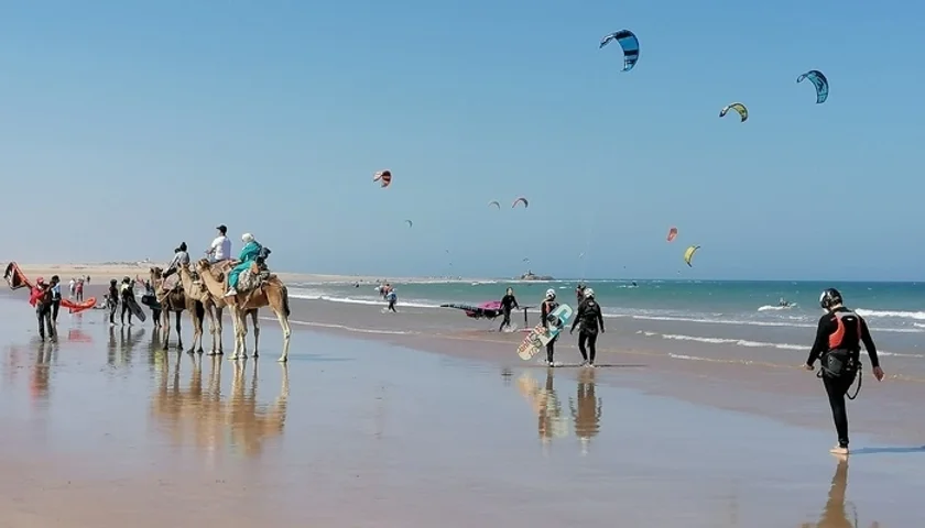 Plage d'Essaouira avec chameaux et kitesurfeurs
