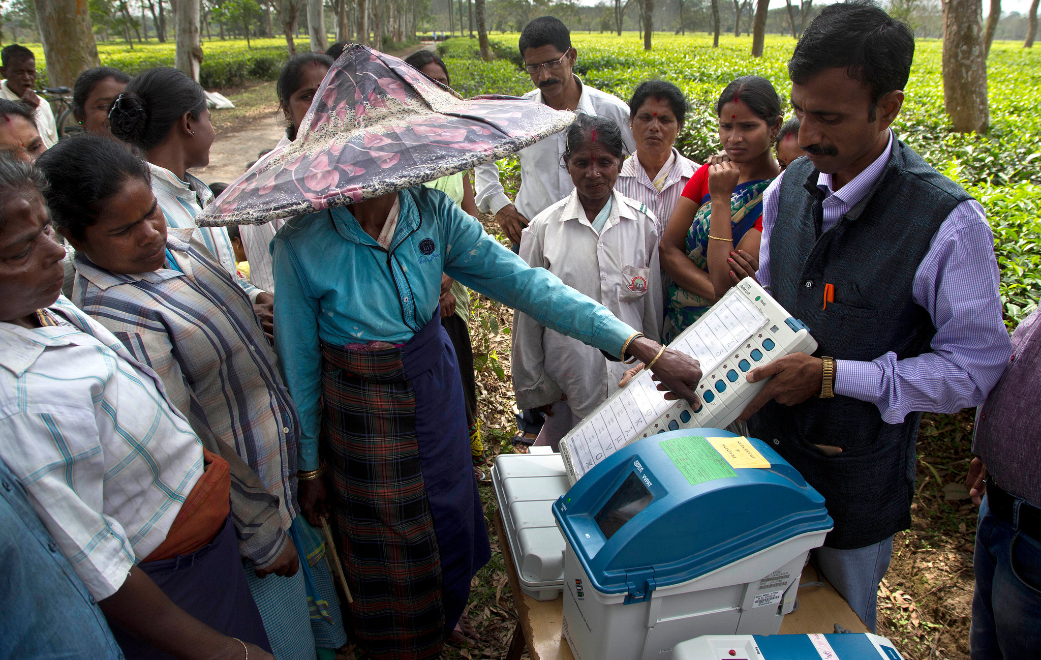 Indian election voting scene
