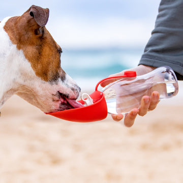 Yamazaki Rolling Airtight Pet Food Container
