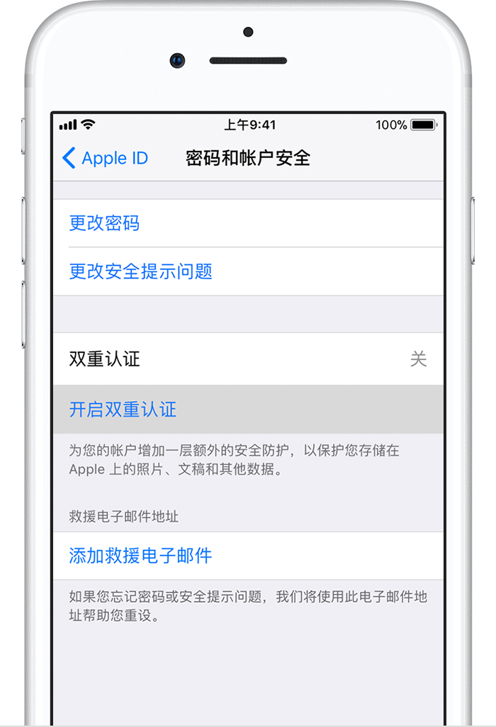 Apple ID 密码和账户安全页面展示双重认证设置选项截图